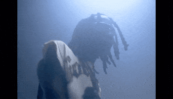 Armanii GIF