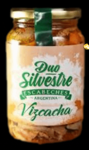DUOSILVESTRE GIF
