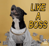 Funny-money GIFs - Get the best GIF on GIPHY