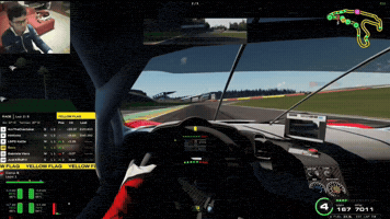 Sim Racing GIF