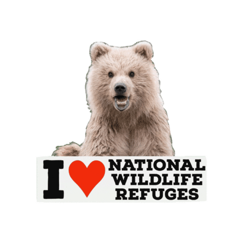 National Wildlife Refuge Bear Sticker by U.S. Fish and Wildlife Service