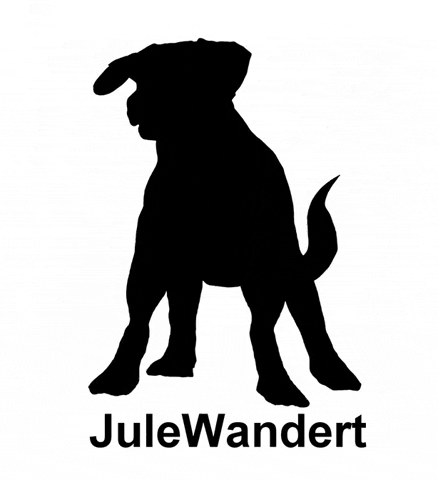 Dog GIF