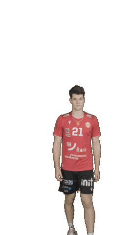 Deutschland Sticker by Volleyball Bundesliga