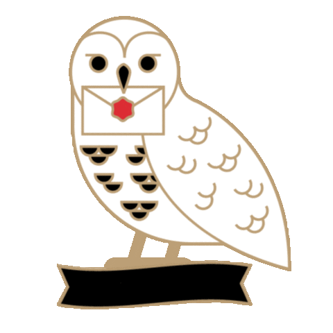 Harry Potter Owl Sticker by Wizarding World