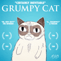 Grumpy Cat Cartoon Gif