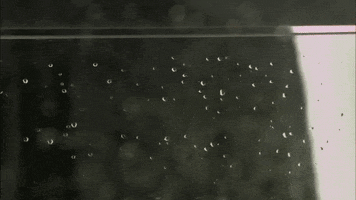 Novela Hello GIF by Band