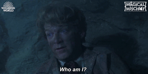 Confused Chamber Of Secrets GIF by Harry Potter - Find & Share on GIPHY