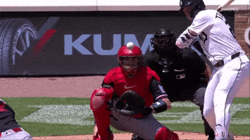 Home Run Homer GIF by MLB