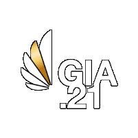 Social Media Content Creator Sticker by German Influencer Award · #GIA21