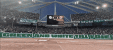 Football Soccer GIF