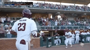 College Baseball Hype GIF by Texas A&M Athletics