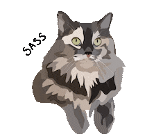 Cat Sticker