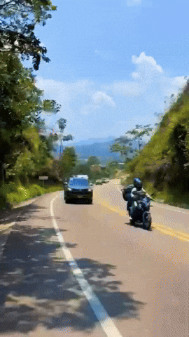 Tuyomotor GIF