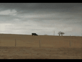 Battle GIF
