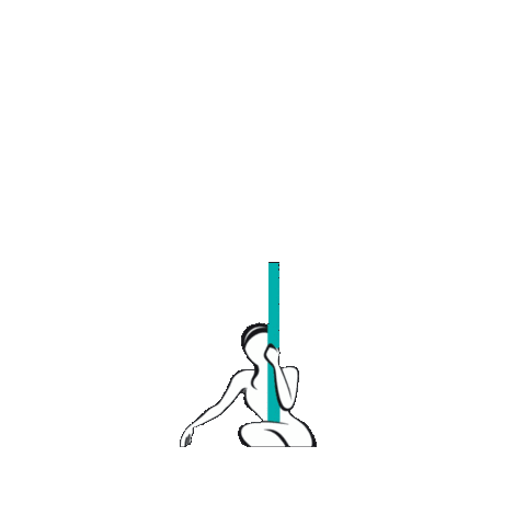 The Pole Gym Brisbane City Sticker