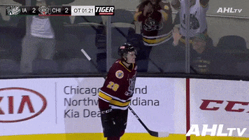 Chicago Wolves GIF