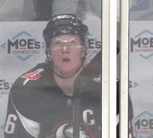 Buffalo Sabres Hockey GIF