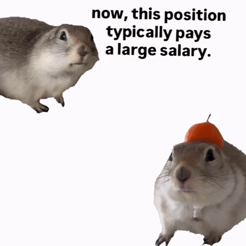 Squirrel Celery GIF