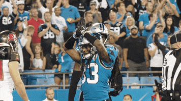 Hands Up Nfl GIF by Carolina Panthers