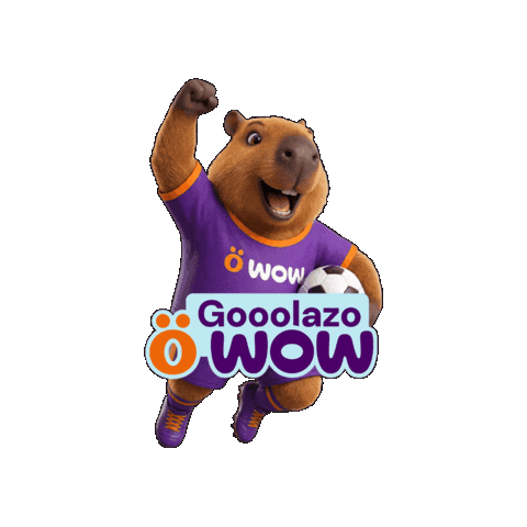 Wowfut Sticker by WOW Perú