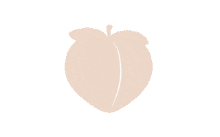 Dance Workout Sticker by Barreshape