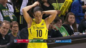 lets go bird GIF by WNBA