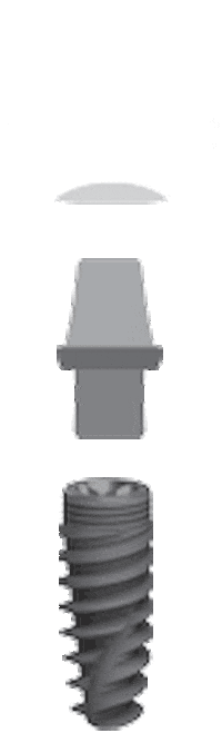 Conexão Sistemas de Prótese Sticker