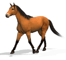 Animated Sticker