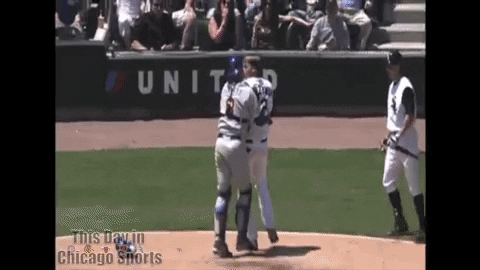 Cubs-sox-fight GIFs - Get the best GIF on GIPHY