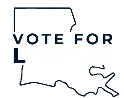 Democrat Congress Sticker by Martin Lemelle