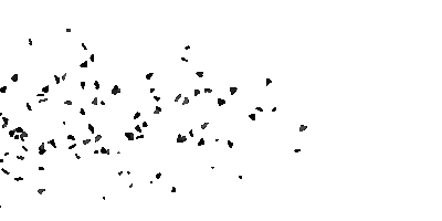 Piktora Yapim Sticker