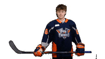 Game Day Win Sticker by Flint Firebirds