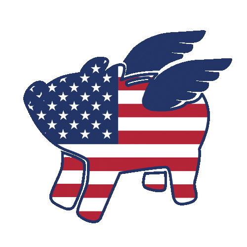 4Th Of July Usa Sticker by Freebird Financial for iOS & Android GIPHY