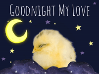 Good Night Cute Bunny Hearts Sleep GIF  GIFDBcom