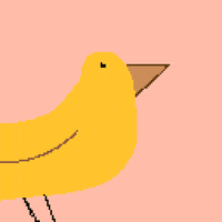 Laugh Bird GIF by Andelson