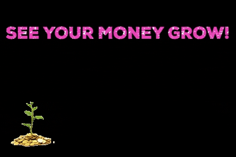 Meghan | FamilyFinanceMom GIF - Find & Share on GIPHY