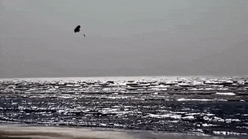 Bangladesh GIF