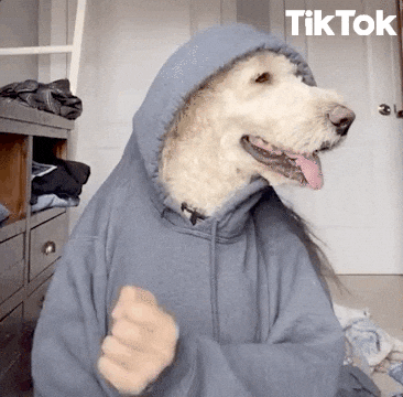 K Camp Puppy GIF by TikTok - Find & Share on GIPHY