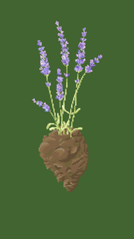 Nature GIF