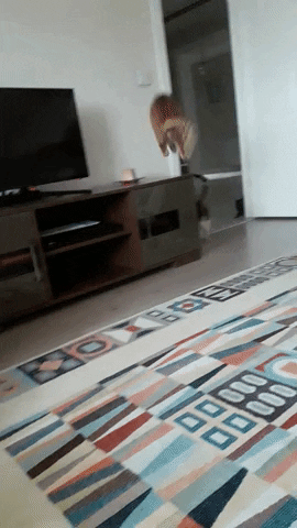 hacettepehaydok GIF