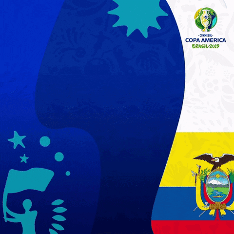 ecuador vibraocontinente GIF by Copa América