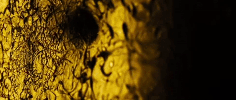 Kulka Nechtemrtvolychytatbronz GIF