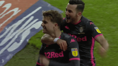 Football Sport GIF by Leeds United - Find & Share on GIPHY