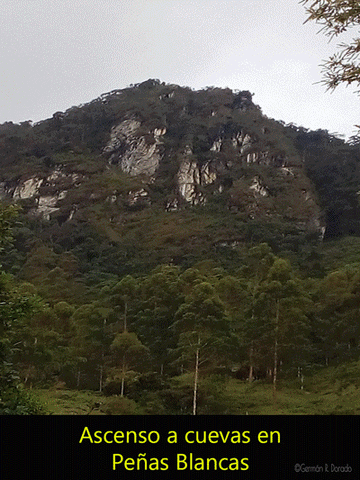 Caminata Montaã±Ismo GIF