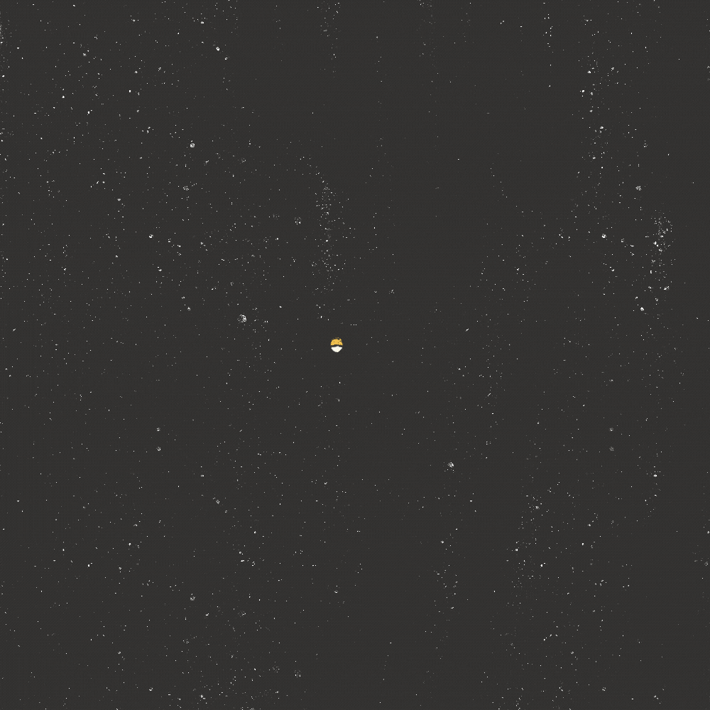 Cheers GIF