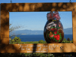 HolidayParkPianidiClodia GIF