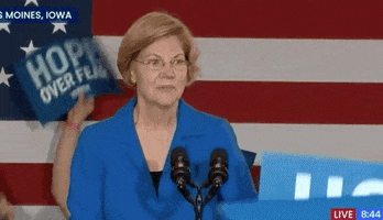 Elizabeth Warren Smile GIF by Election 2020