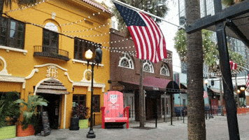 Team Usa Flag GIF by City of Orlando
