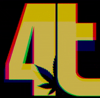 Cannabis Ganja GIF by 4Trees