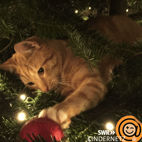 Christmas Tree Cat GIF by SWR Kindernetz - Find & Share on GIPHY